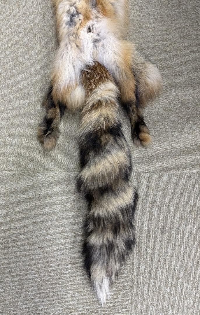 高品質！ レッドフォックスの毛皮　１点もの