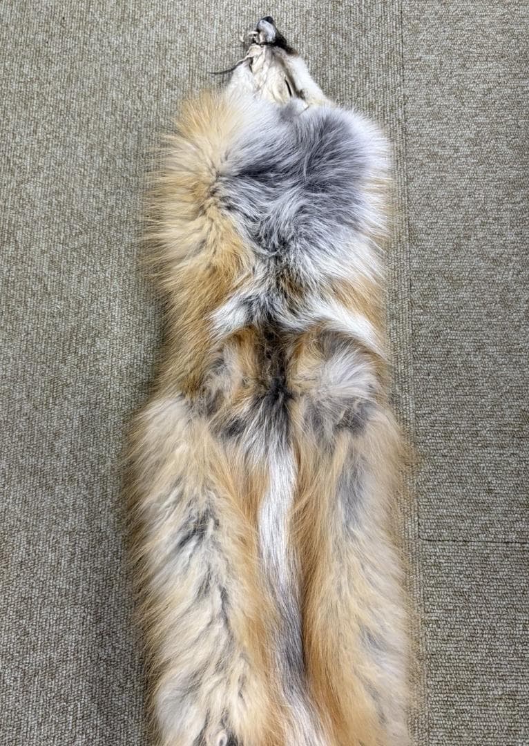 高品質！ レッドフォックスの毛皮　１点もの