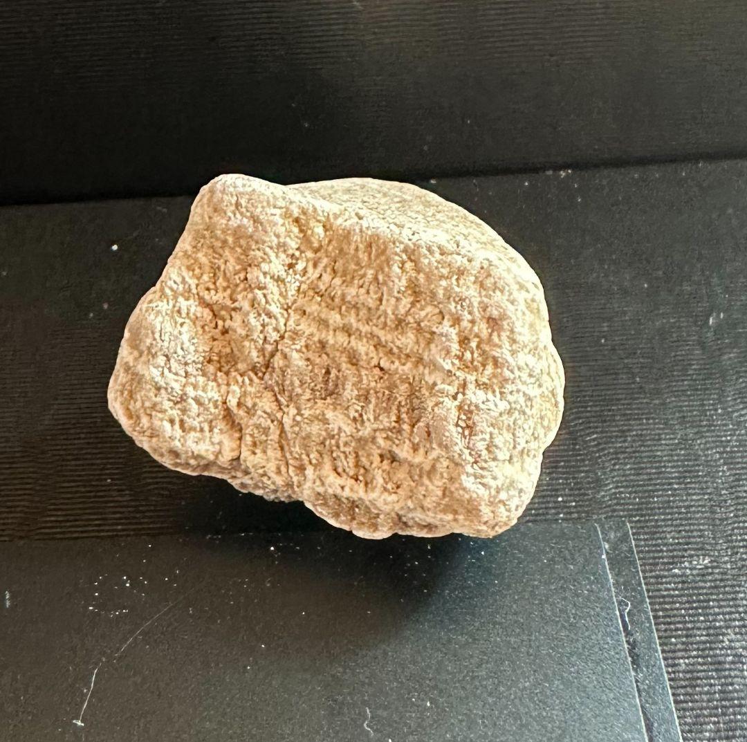 秋田発『北投石』58グラム 100%本物!! ✨シマ模様と放射線量が