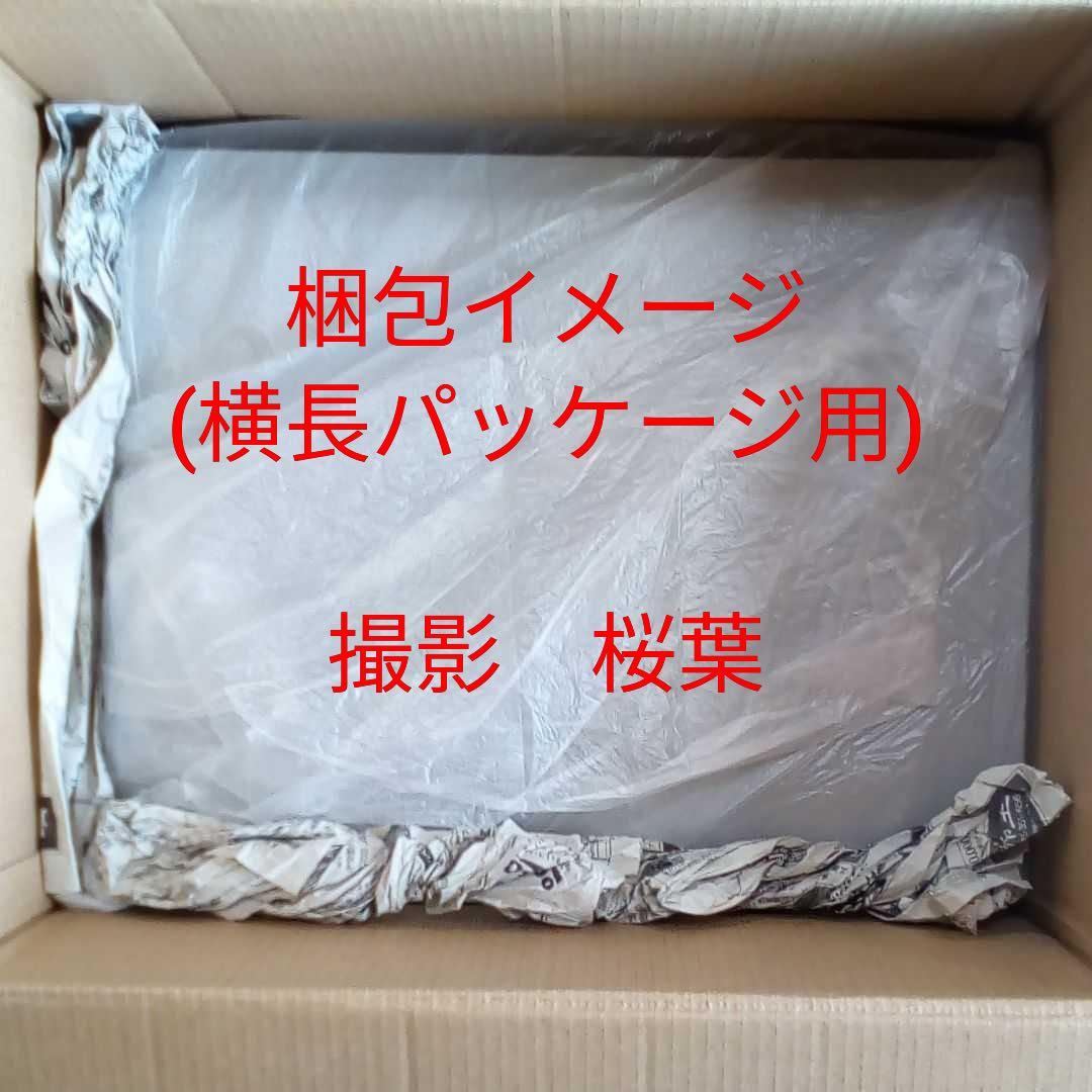 ガンプラ hg ガンダムTR-1　ハイゼンスレイ 内袋未開封　未組立