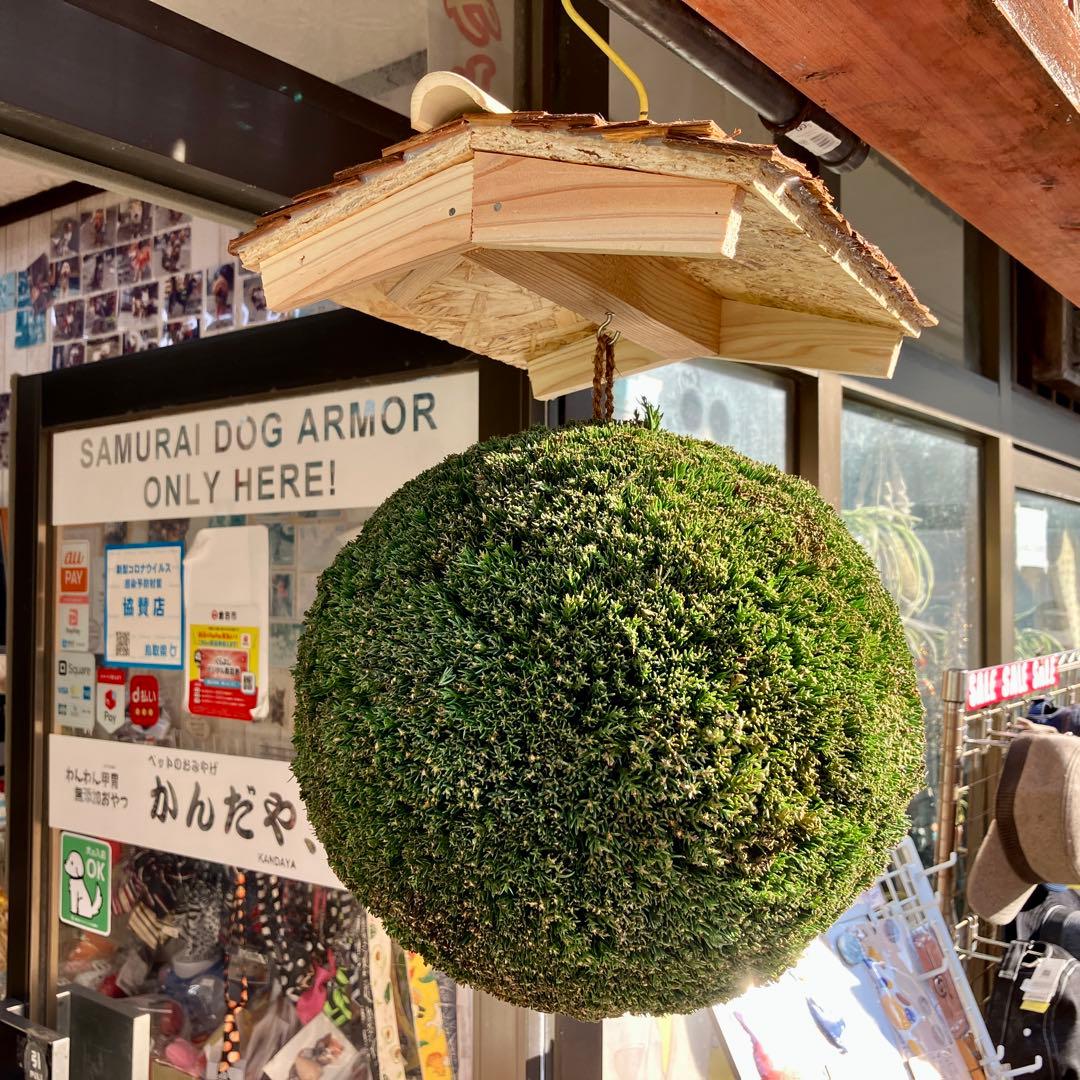 杉玉【屋根付き】③ - メルカリ