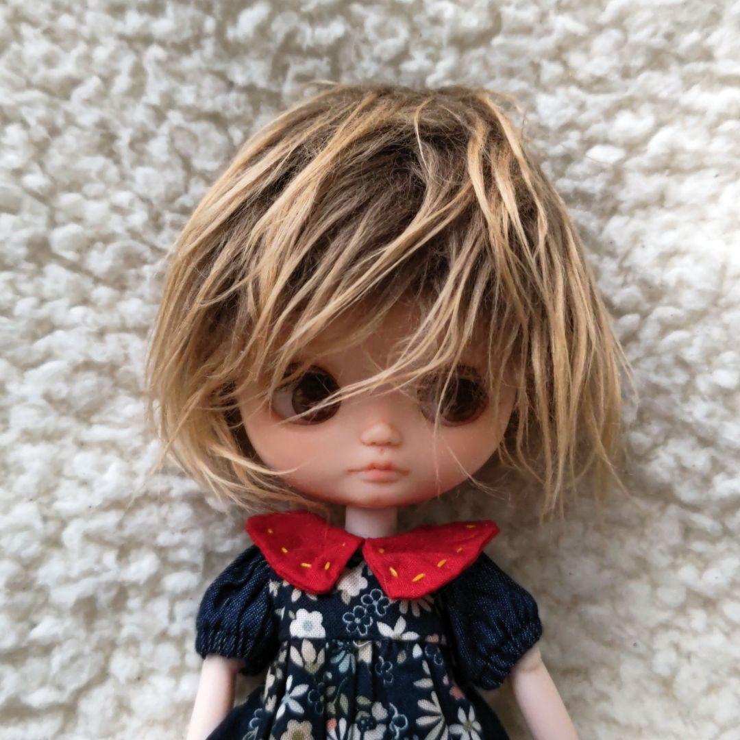 アイシードール カスタム ミディブライスサイズ おまけウィッグ付き