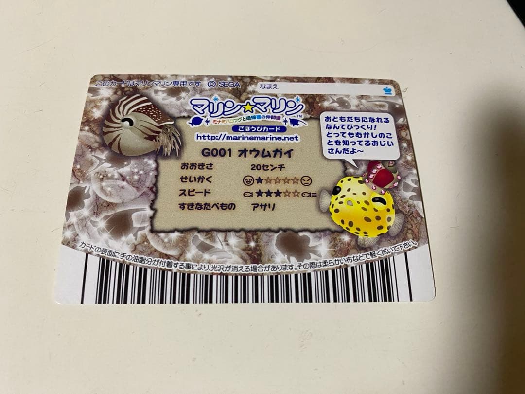 マリンマリン カード G001 オウムガイ - メルカリ
