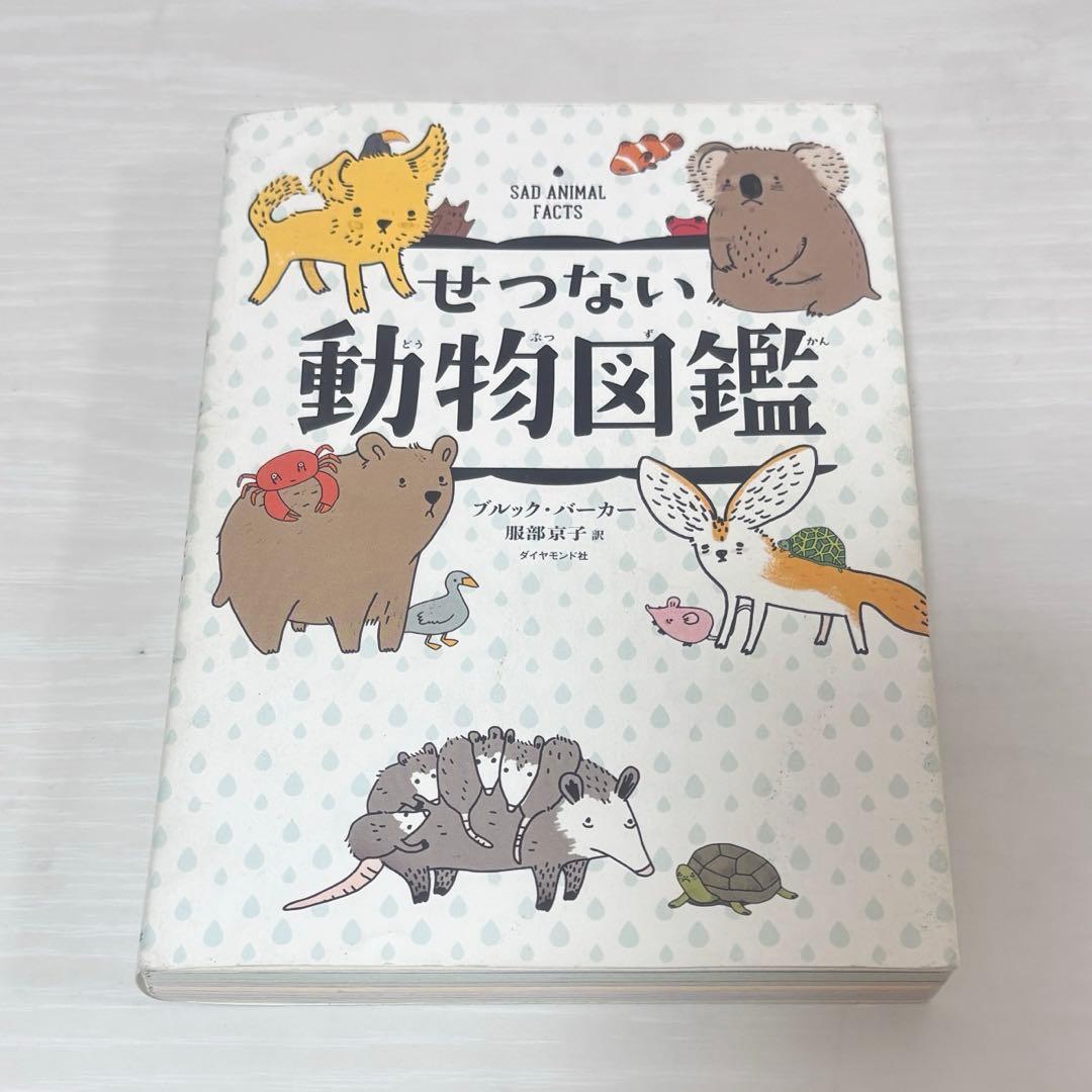 TeChi様 リクエスト 2点 まとめ商品 - メルカリ