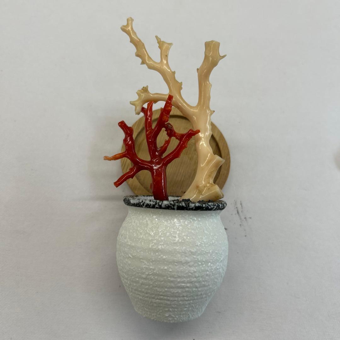 天然珊瑚　飾り