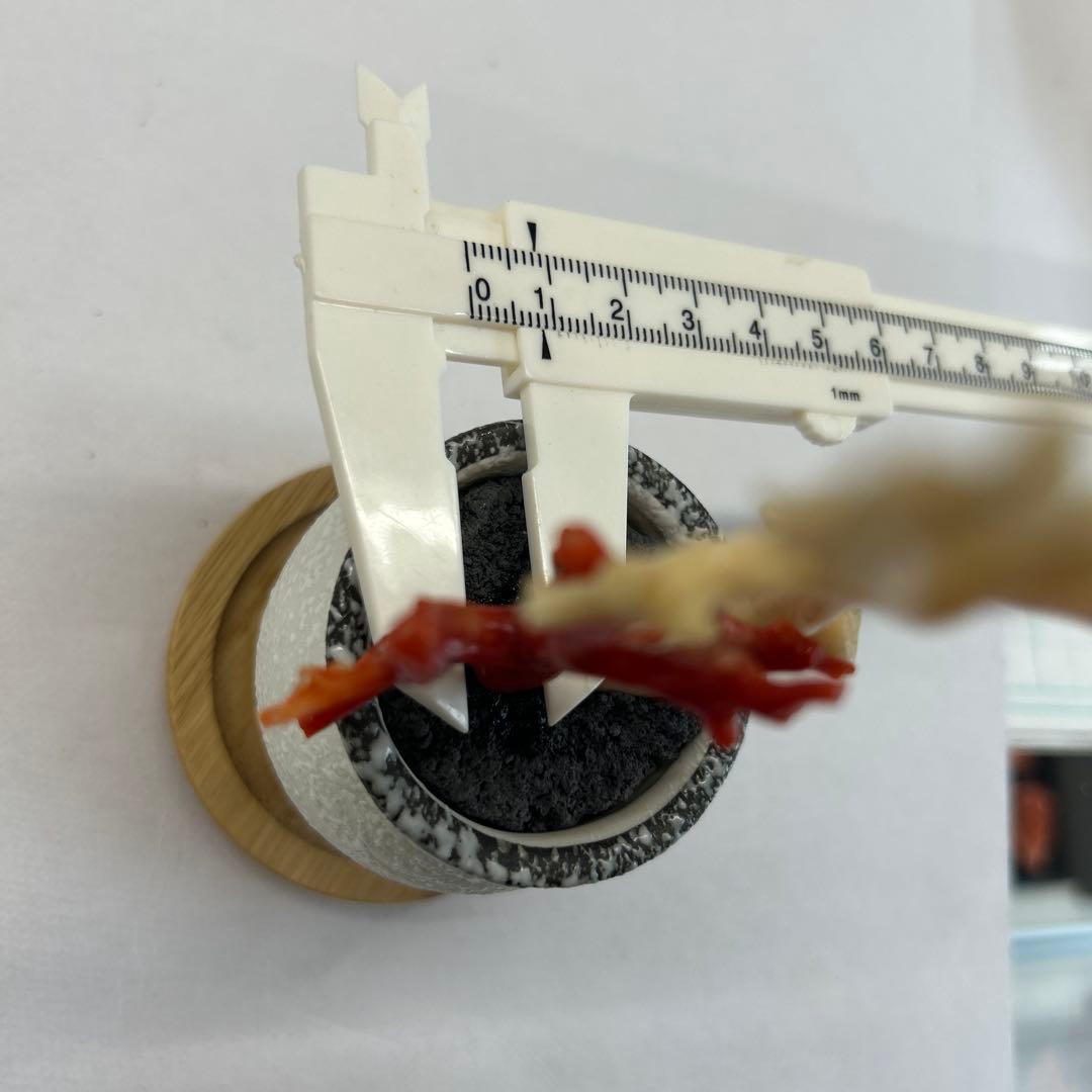 天然珊瑚　飾り