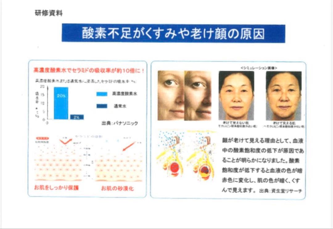ハンディ ミスト スチーマー 酸素水150ml セット O2nanowave