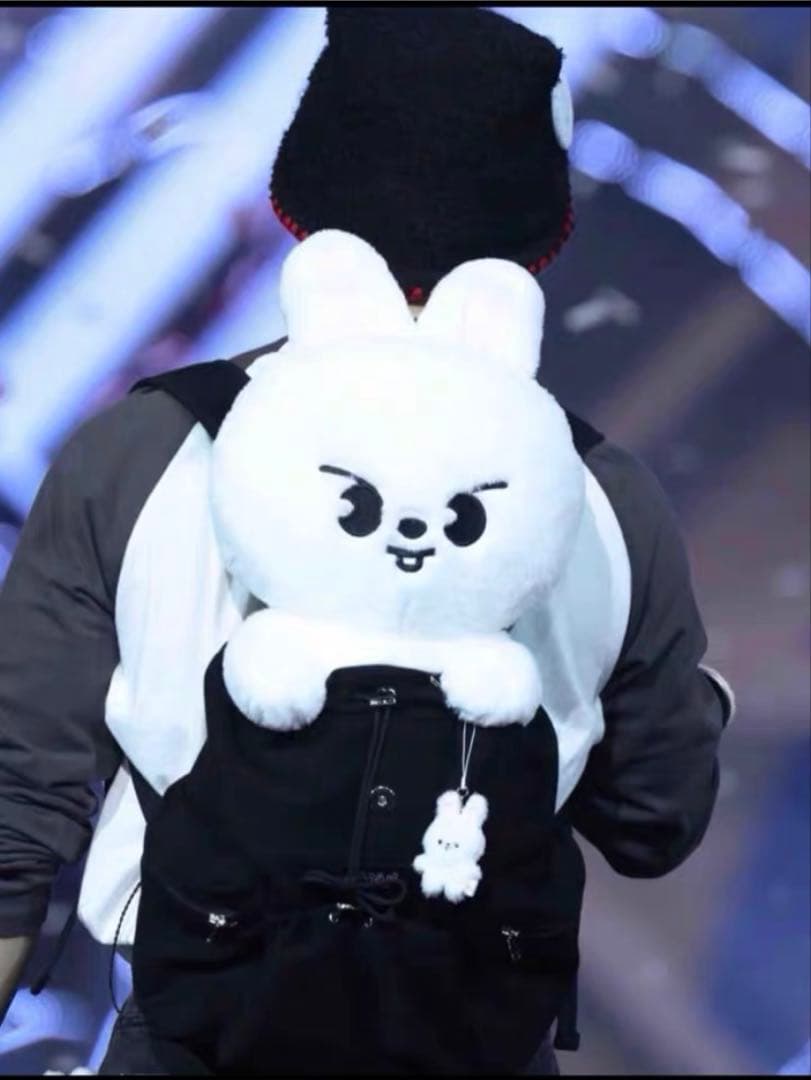 OneMall provides Mercari products: StrayKids リノ テディベア 5