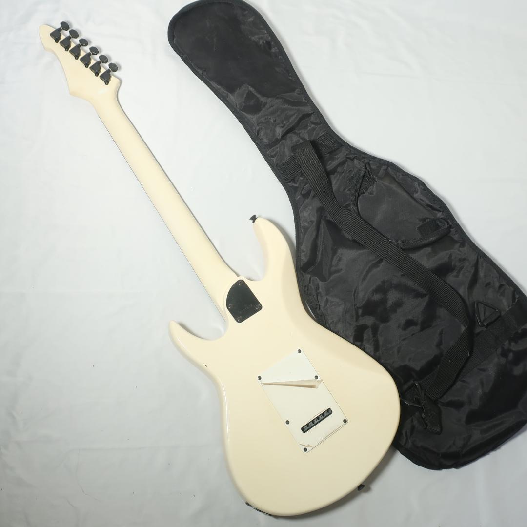 Black Dog by Aria ProⅡ ギター ケース付 コイルタップ搭載