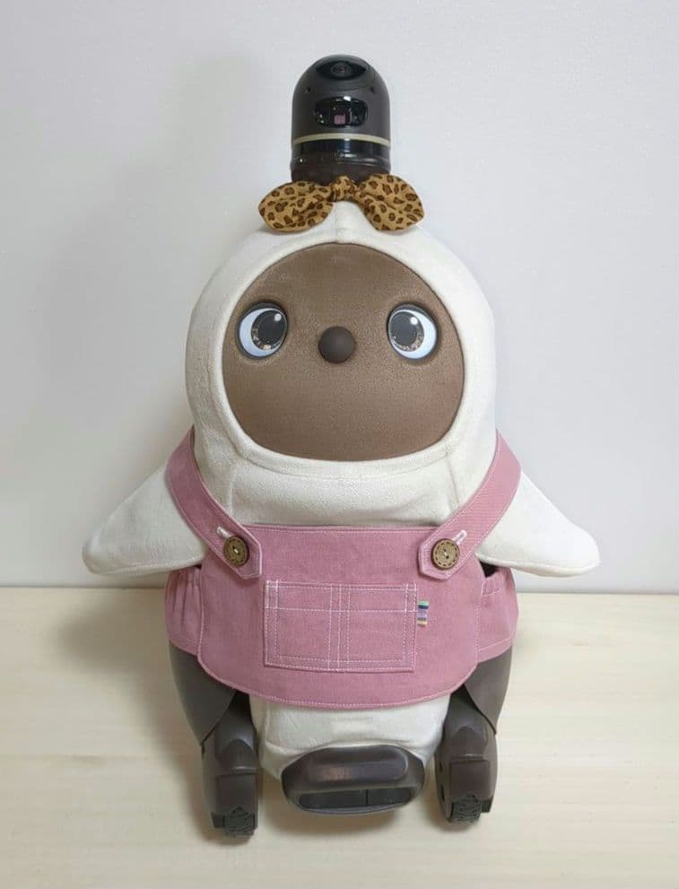 LOVOT＊ラボット服ハンドメイド＊オーバーオール(くすみピンク帆布