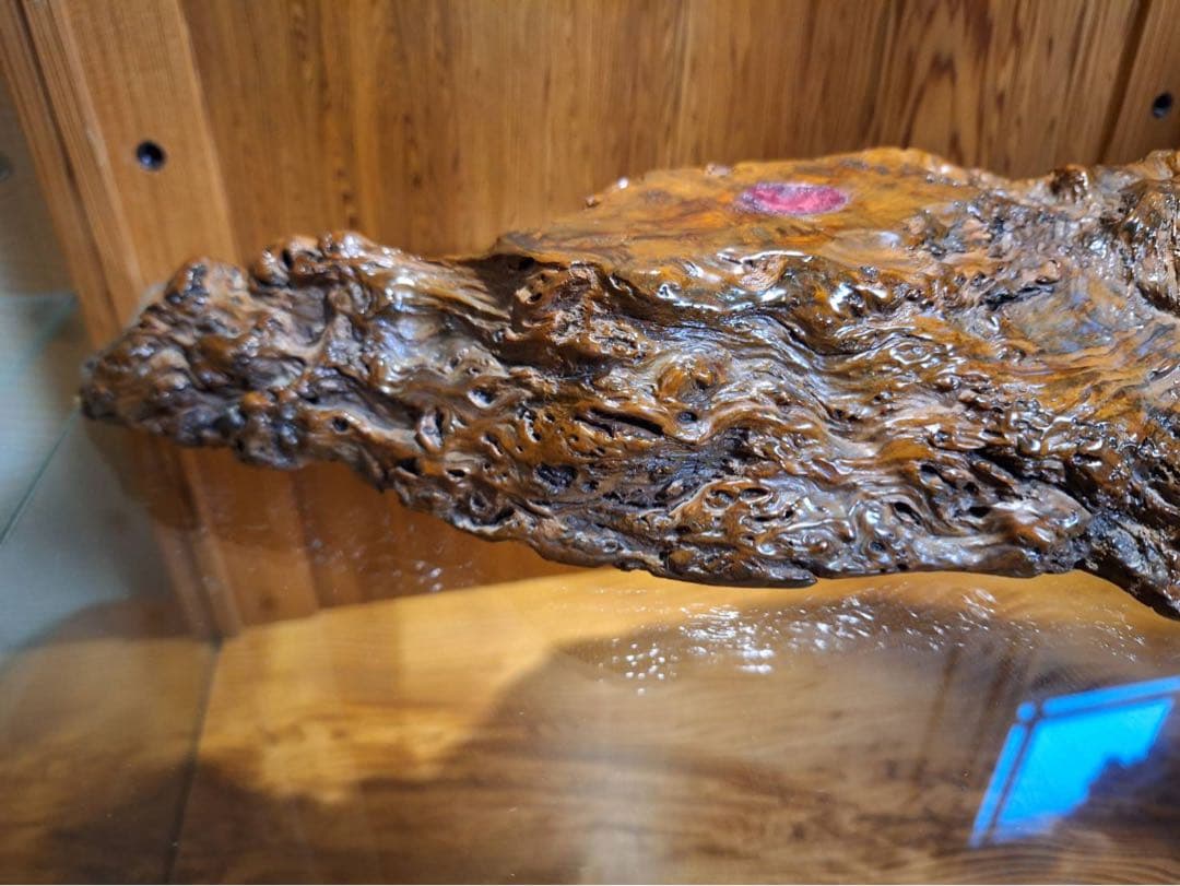 至宝　世界遺産　屋久杉　泡瘤台座　宝玉