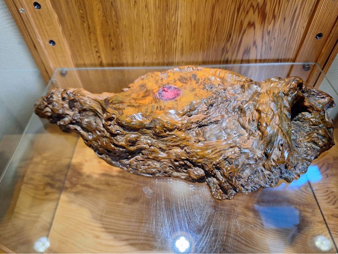 至宝　世界遺産　屋久杉　泡瘤台座　宝玉