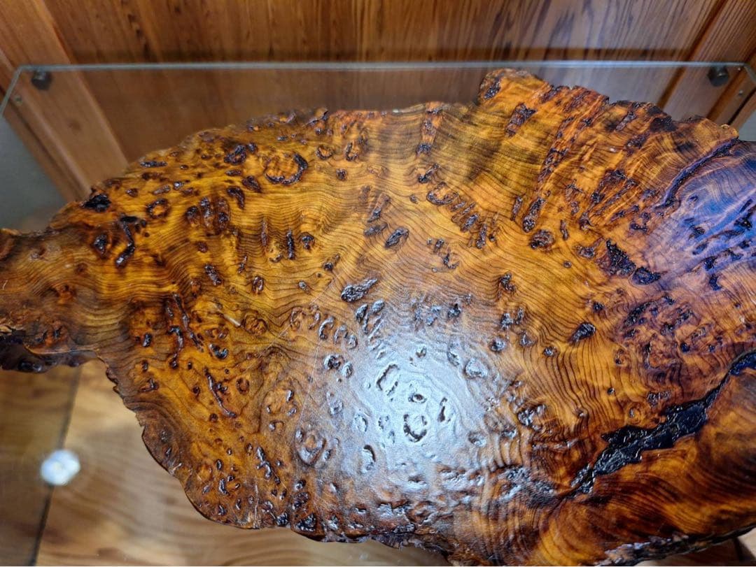 至宝　世界遺産　屋久杉　泡瘤台座　宝玉