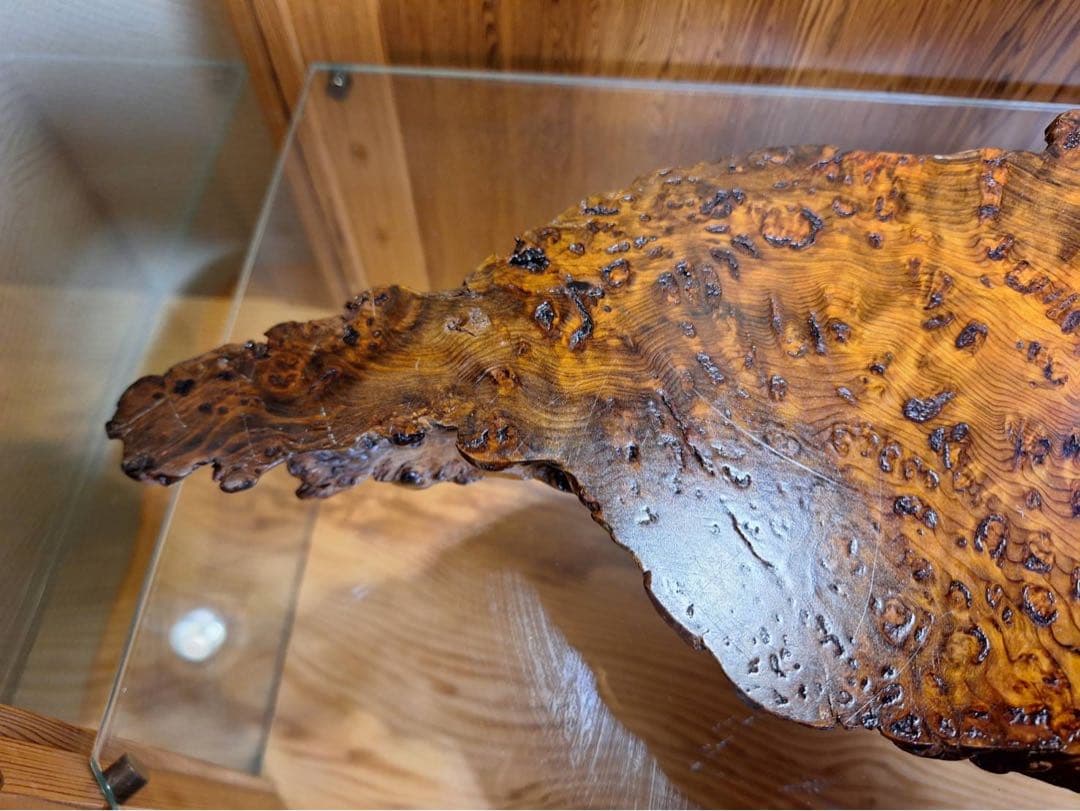 至宝　世界遺産　屋久杉　泡瘤台座　宝玉