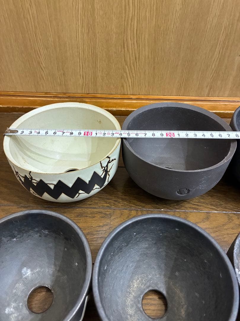 本日値下げ！！　valiem バリエム　鉢　検）パキプス　グラキリス アガベ