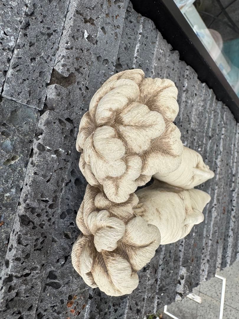 にんじん　ペア　ライムストーン　オブジェ　USA 壁掛け