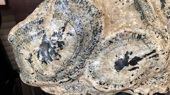 骨董品☆貴重！ナポレオン原石鑑賞石(また時計石)台座付