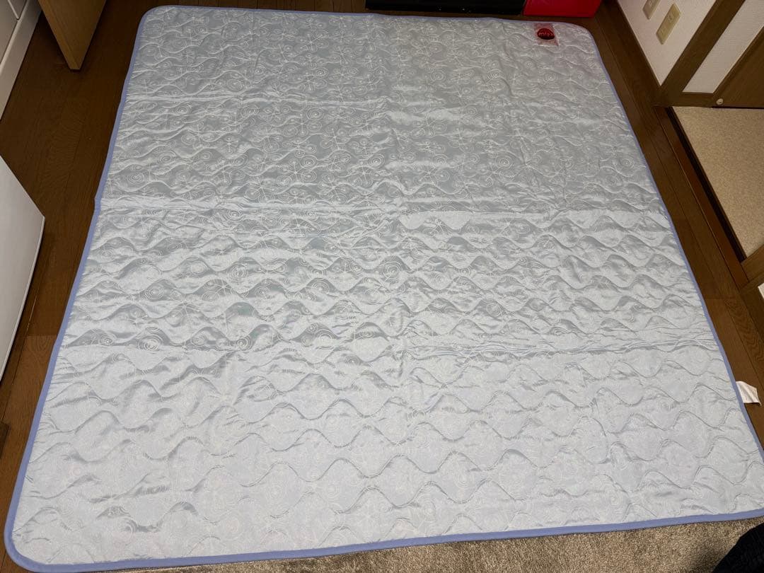 ☆美品☆アライヴン インベル リチャージセンテナリアン スポーツリチャージ