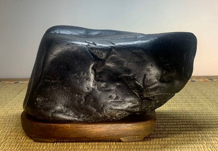 【特別普及企画】ニホンシンギョク 認証コード:ijs00002231