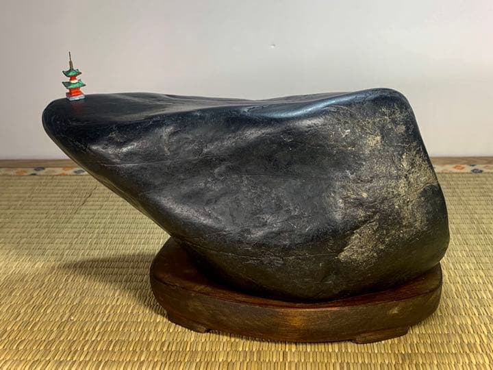 【特別普及企画】ニホンシンギョク 認証コード:ijs00002231