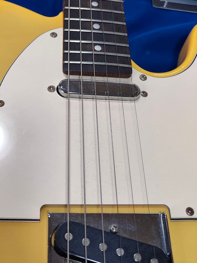 日本 有名メーカー バッカス Universe Series ソフトケース 付き