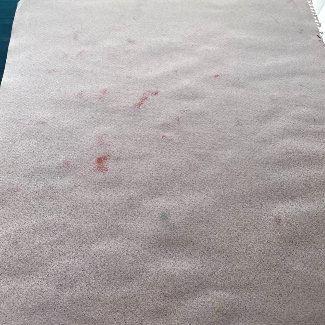 パステル画/色褪せない花束の贈り物/癒し/ヒーリング/パワースポット/ビバーナム