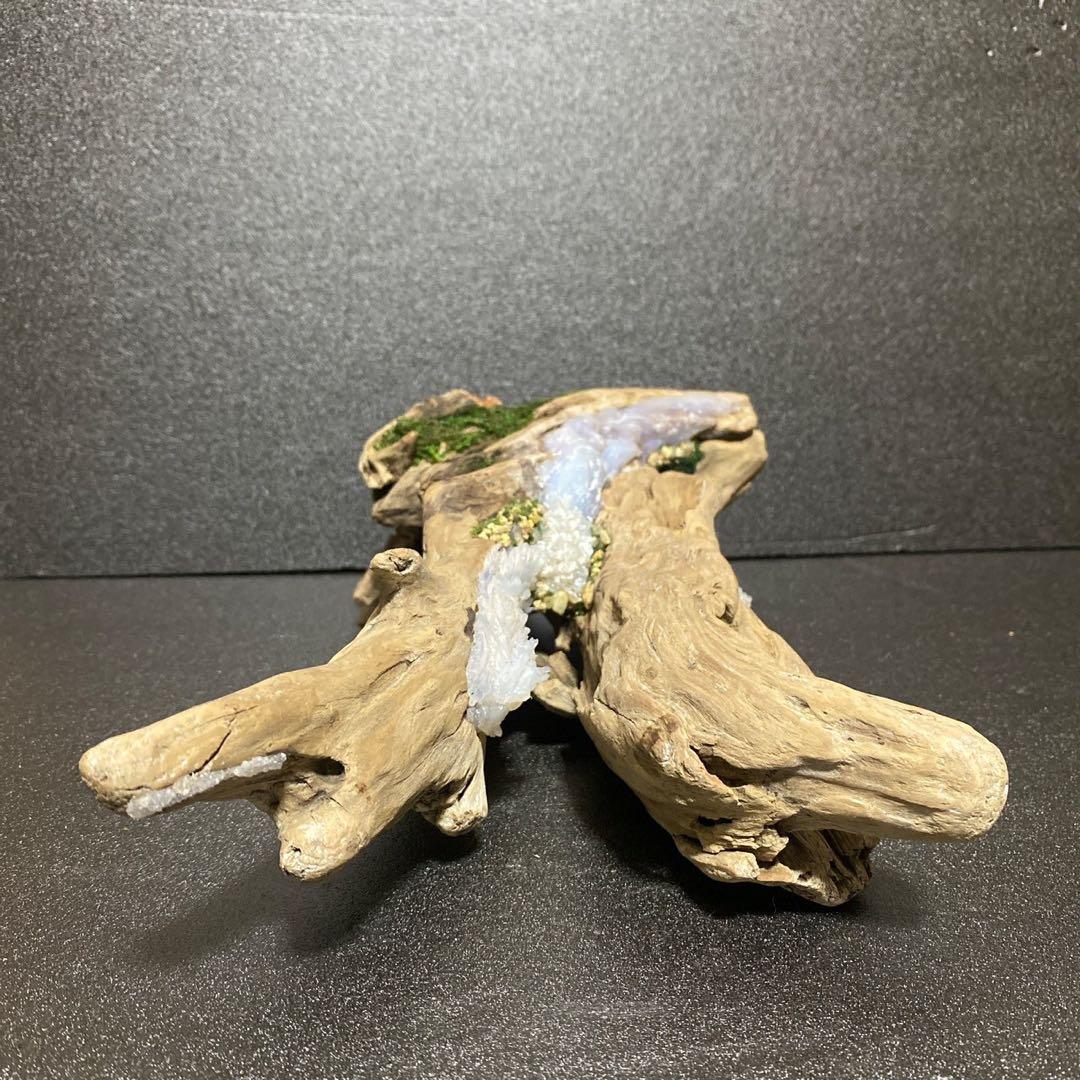 流木アート 一点もの インテリア アクアリウム