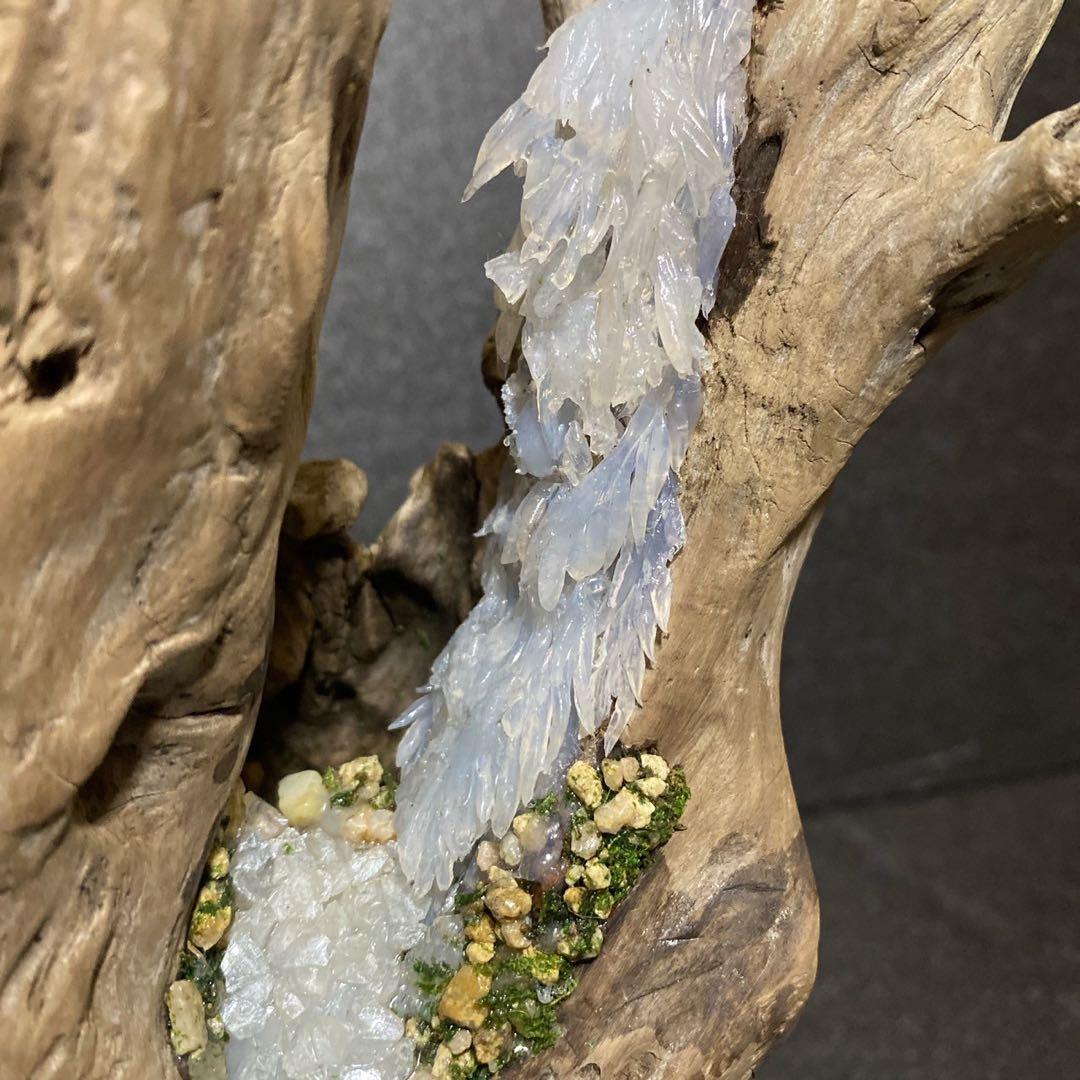 流木アート 一点もの インテリア アクアリウム