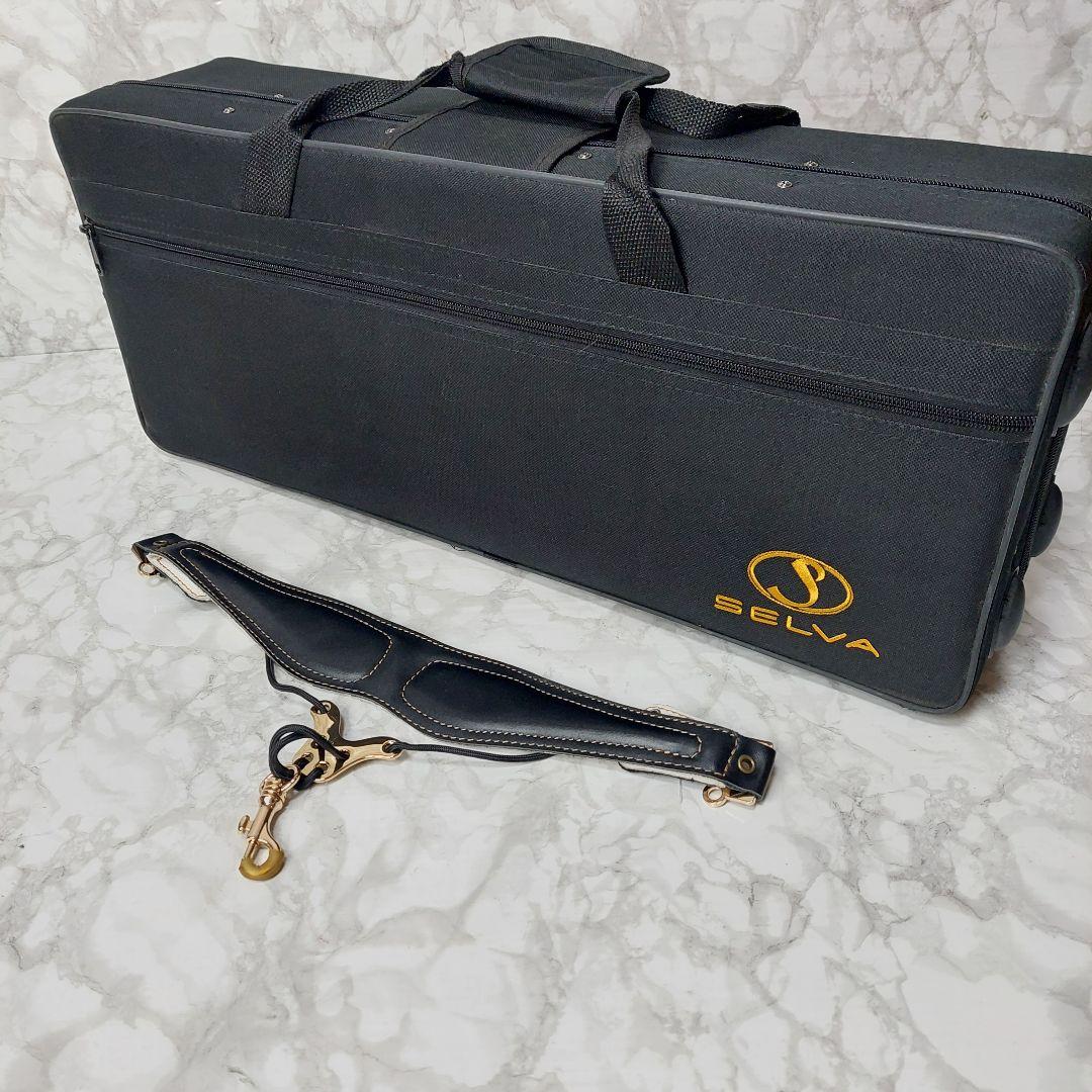 ほぼ未使用 SELVA （セルバ） アルトサックス SAS-100 ケース付き
