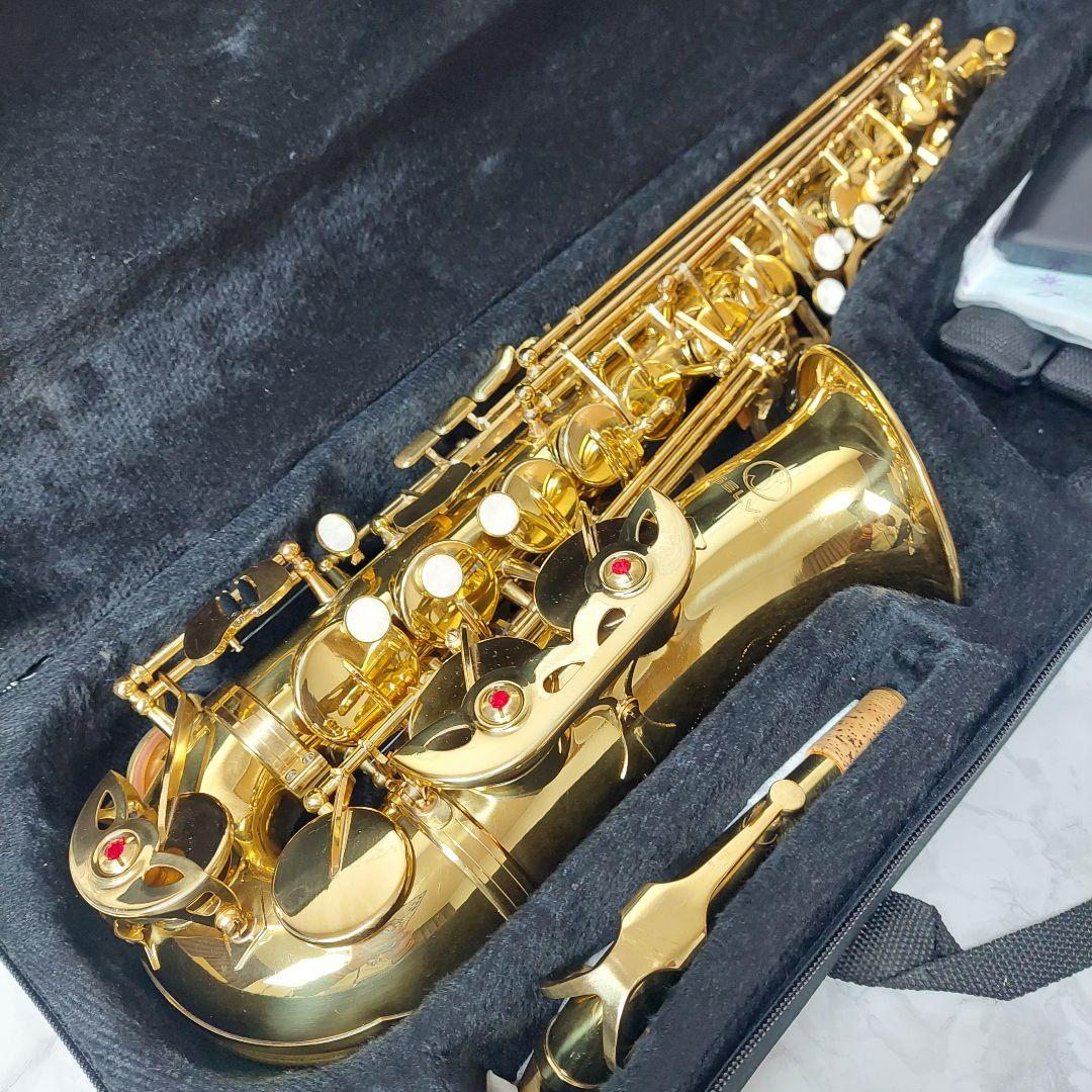 ほぼ未使用 SELVA （セルバ） アルトサックス SAS-100 ケース付き