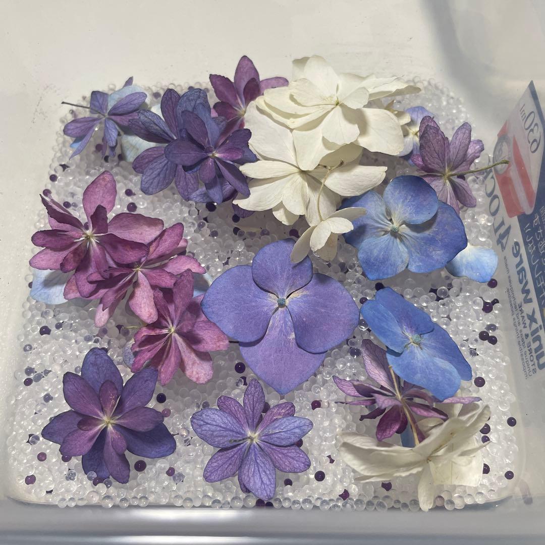 売切価格 アメージングドライフラワー セット