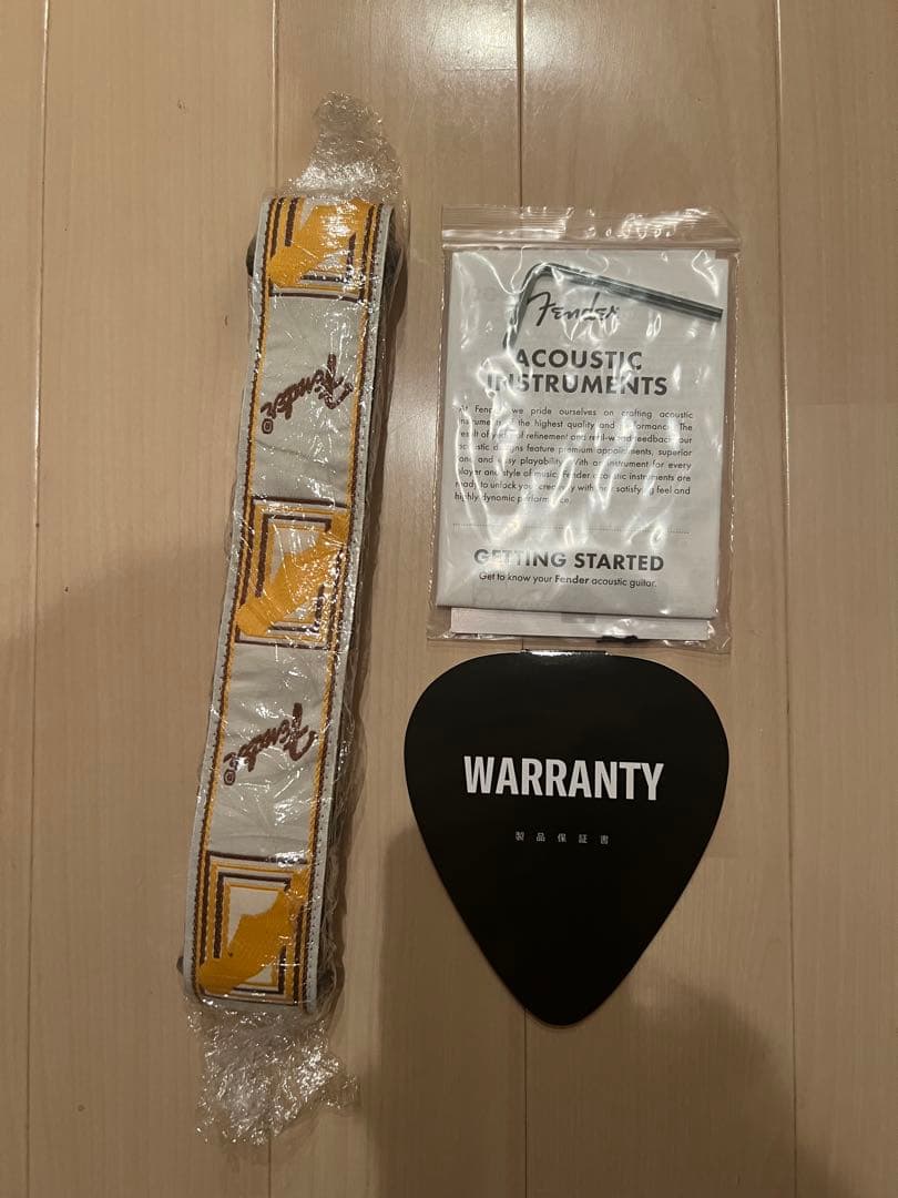 Fender エレアコ Ice Blue未使用品 ハードケース ソフトケース付き