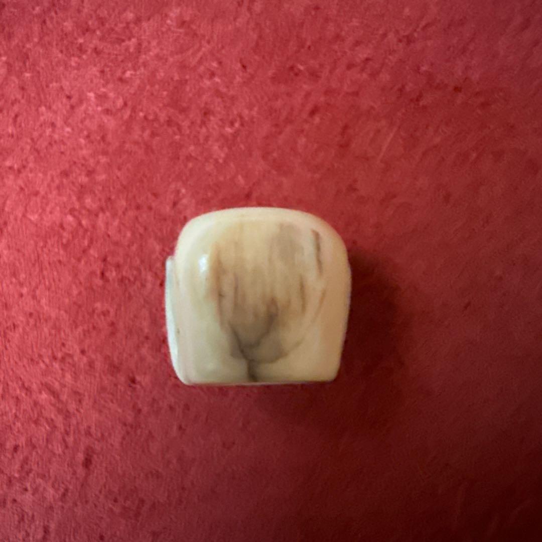 チベタンスカル　チティ・パティ　マンモス牙　ボーンビーズ　チベット　根付