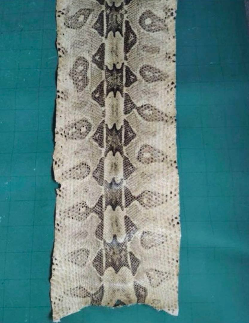 専用　開運　大蛇の革最強呪物3m36㎝　購入者が説明読み購入金額決めて下さい