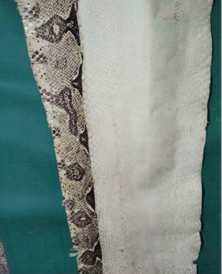 専用　開運　大蛇の革最強呪物3m36㎝　購入者が説明読み購入金額決めて下さい