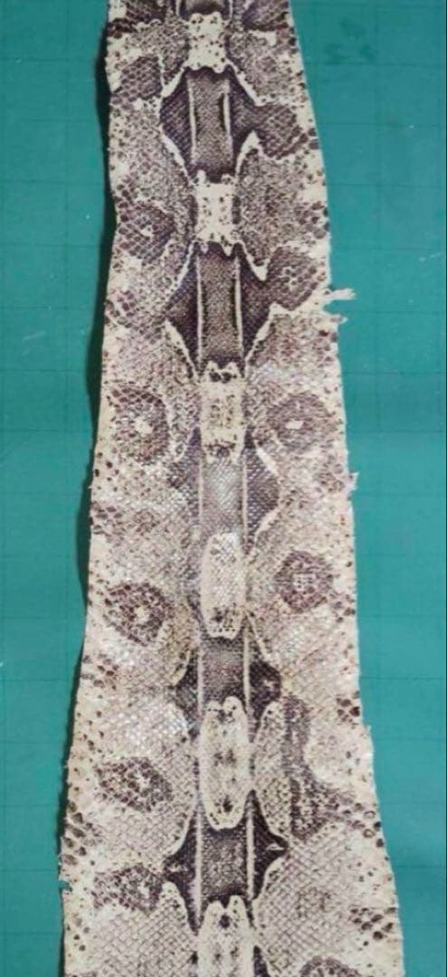 専用　開運　大蛇の革最強呪物3m36㎝　購入者が説明読み購入金額決めて下さい