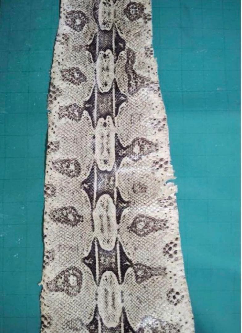 専用　開運　大蛇の革最強呪物3m36㎝　購入者が説明読み購入金額決めて下さい