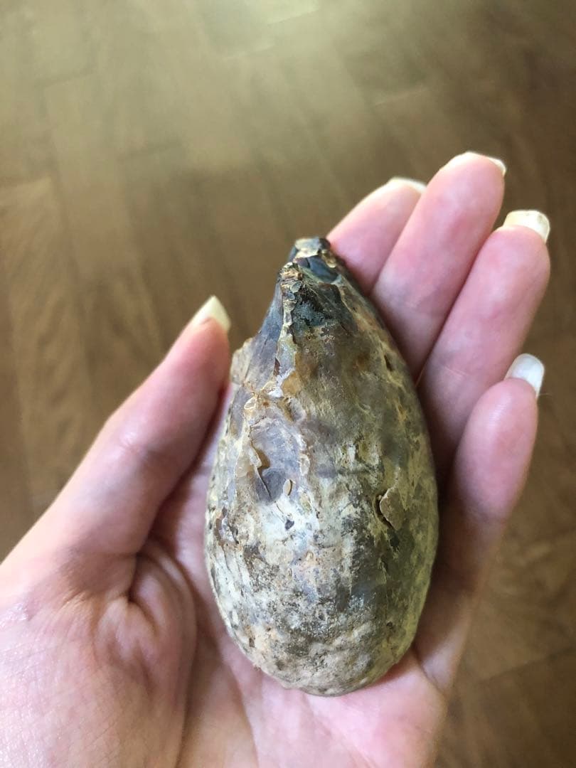 アメジスト　卵型　ジオード　ドーム　置物　原石　天然石　紫水晶【匿名配送】