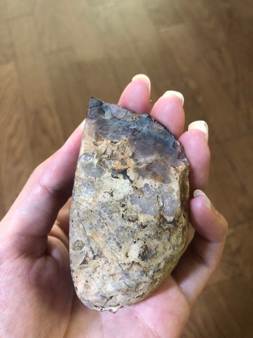 アメジスト　卵型　ジオード　ドーム　置物　原石　天然石　紫水晶【匿名配送】