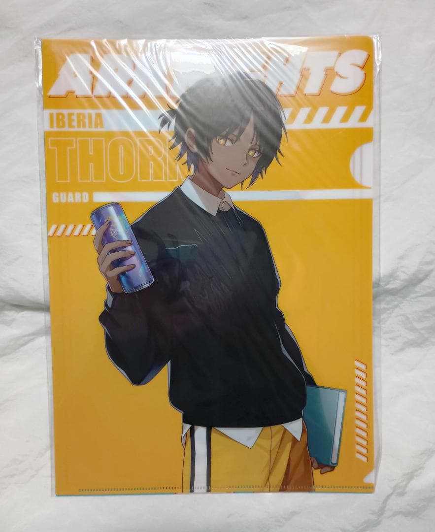 アークナイツ ヴィレッジヴァンガード コラボ2 クリアファイル セット