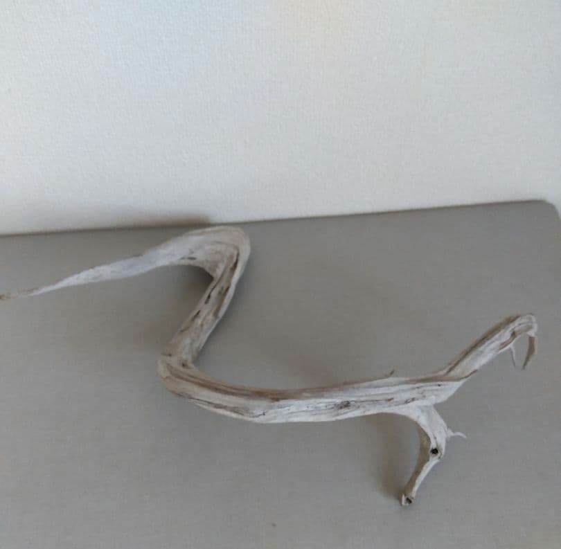 真柏の枯木 盆栽の枯れ木(カレボク)② 神 - メルカリ