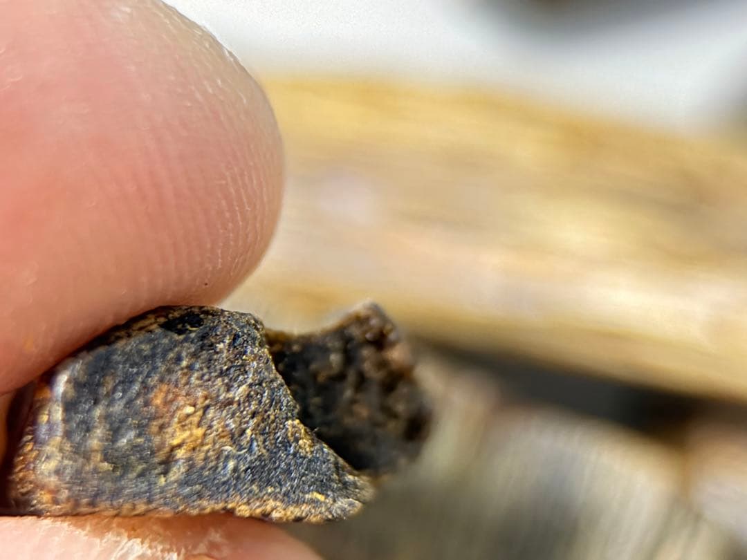 お香 天然沈香 六国五味聞香用 伽羅 香木 1-S-10.311