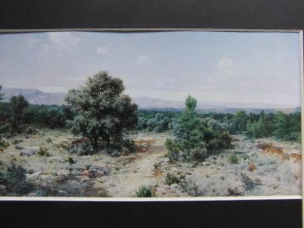 ゴンサーロ・サルバ、ネグレテ山脈の風景、新品額装付、画集画 - メルカリ