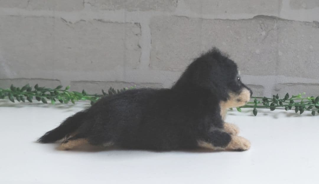 ♡必ず最後までプロフのご確認を♡♡　うちの子オーダー♡羊毛フェルト♪