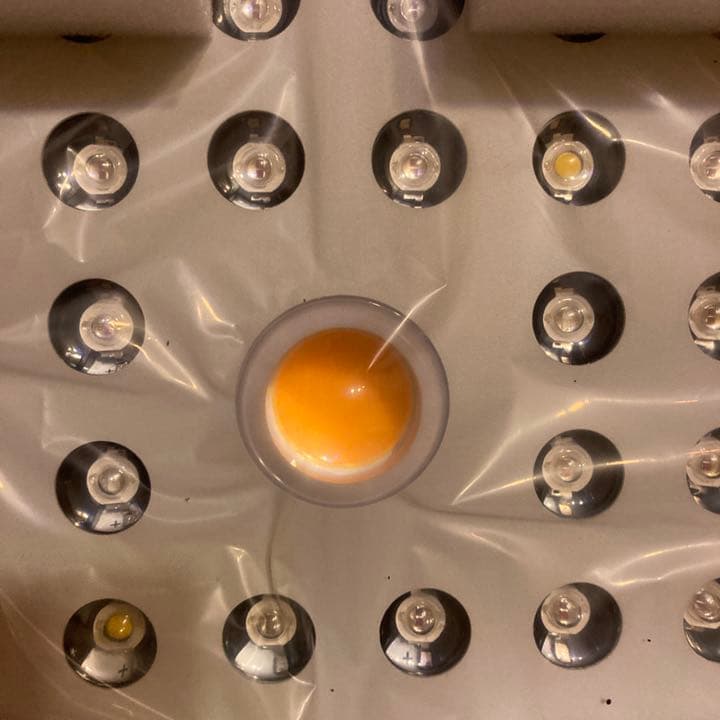 LED COB phlizon 植物栽培 育成ライト 3000w