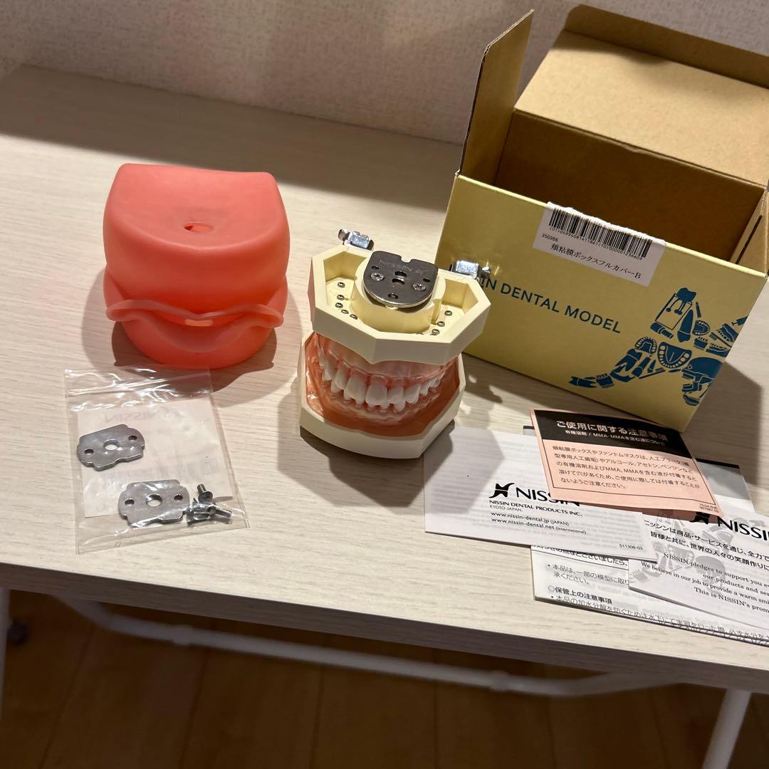 ニッシン 歯科模型 額模型 顎模型 歯科衛生士 NISSIN デンタルモデル