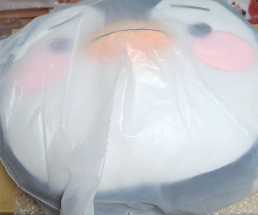 ☆LEE JUNHO☆Midnight Sun ペンペン クッション☆