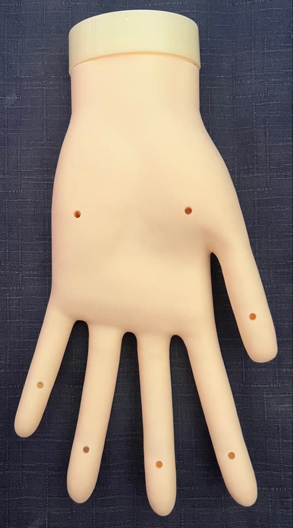 JNEC認定モデルハンド ネイリスト技能検定試験　ネイル　モデルハンド　チップ