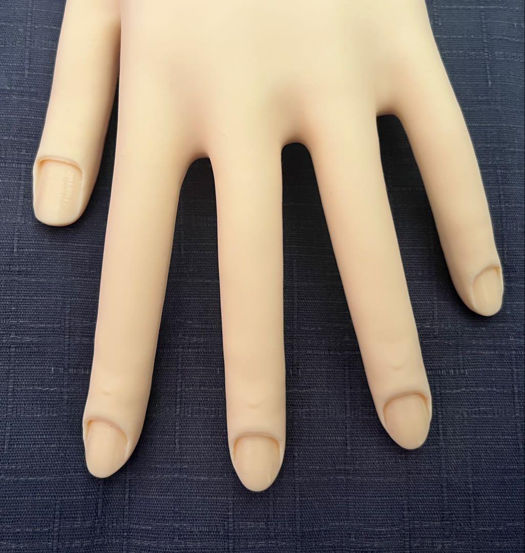 JNEC認定モデルハンド ネイリスト技能検定試験　ネイル　モデルハンド　チップ