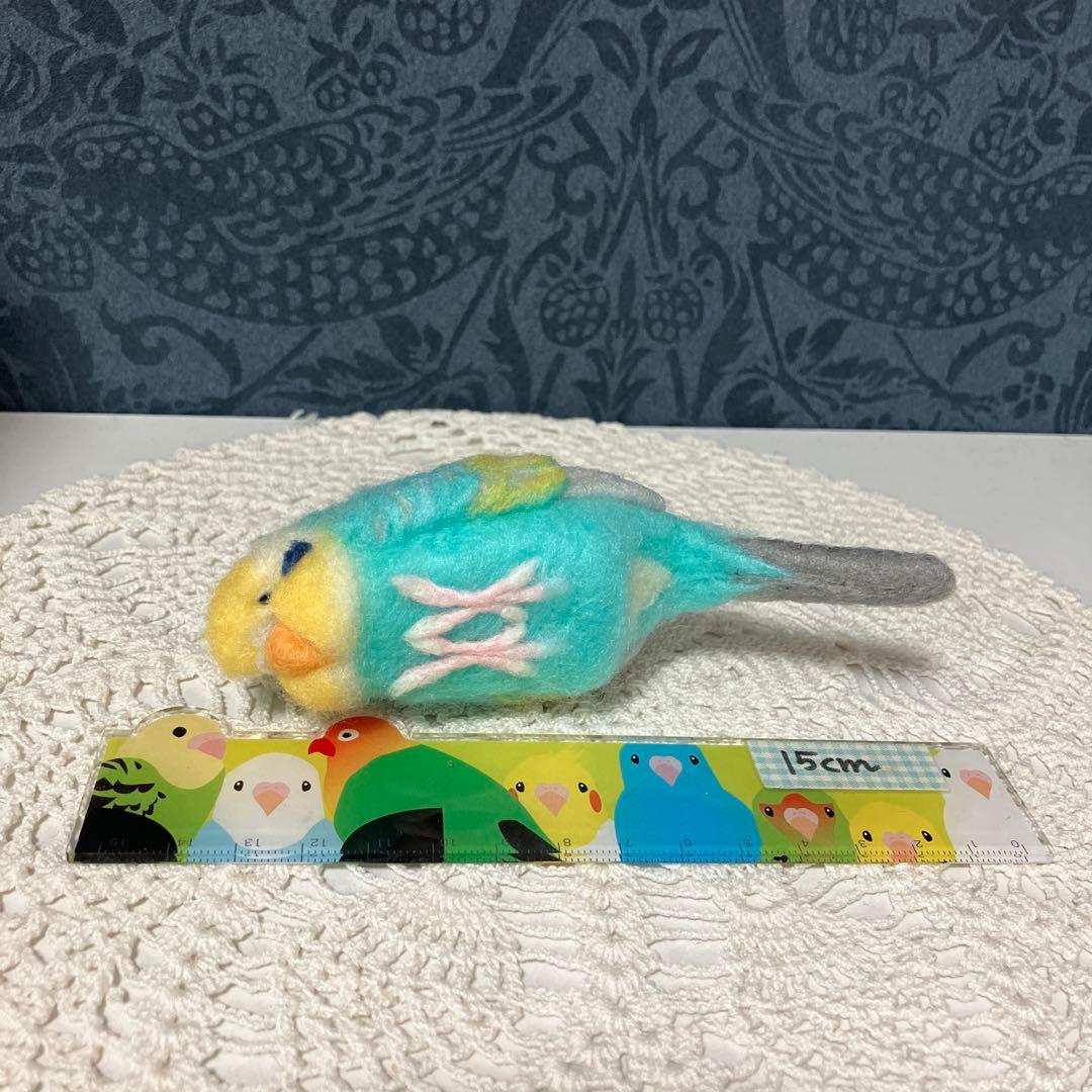 セキセイインコ☆レインボーブルー☆下向きver.2(真下) - メルカリ